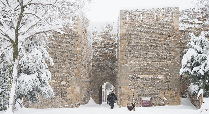 Portal de la Nevera